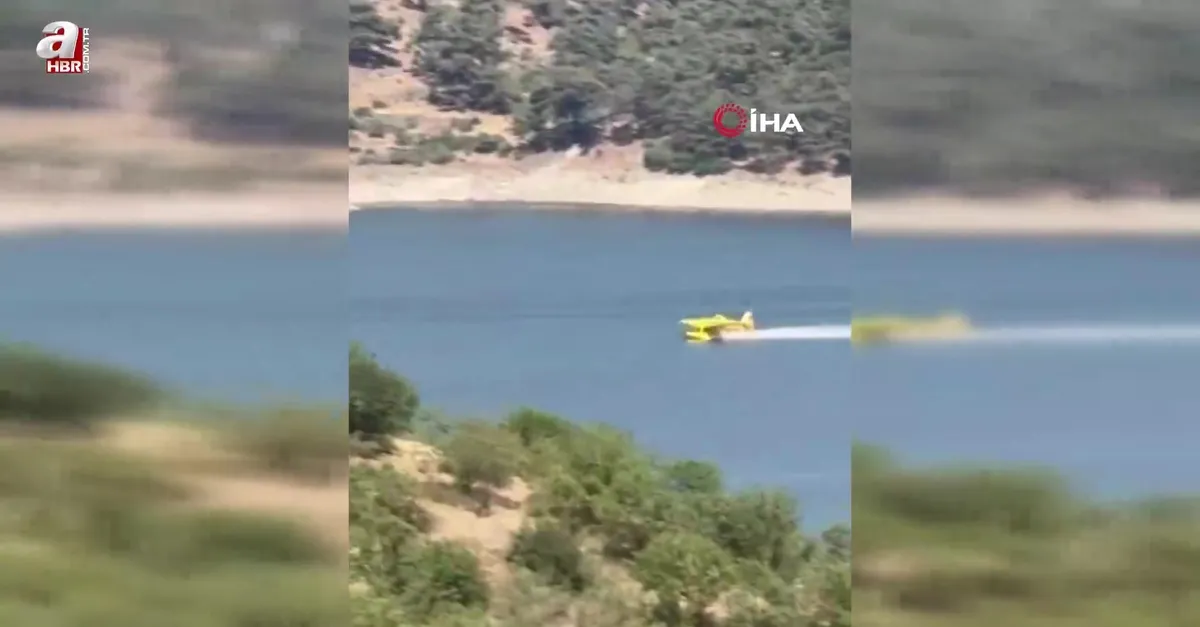 Sındırgı'da orman yangını
