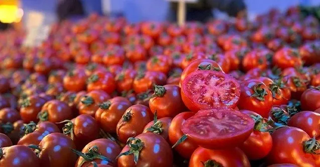 Canan Karatay en sağlıklı domatesi açıkladı! Konserve yapacaklar dikkat! Eğer bu şekilde görünüyorsa...
