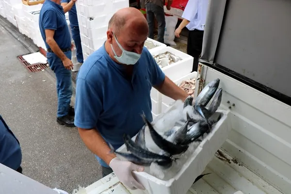 Balıkseverlere müjde! Yarım kiloluk palamut 15 lira