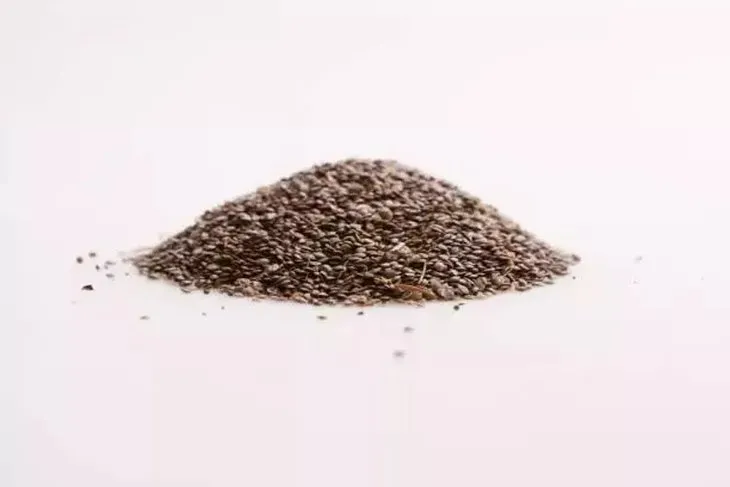 İbn-i Sina 1000 yıl önce önerdi! Bu 3 besini tüketen 100 yaşını görüyor...
