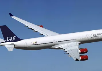 SAS uçağında yılan paniği yaşandı