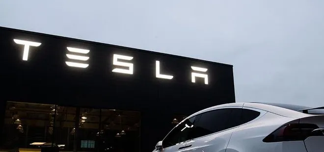 Tesla, Almanya’daki fabrikası için 92 hektarlık ormanlık alanı yok edecek