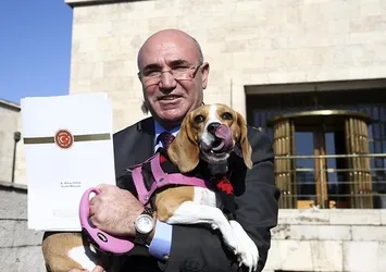 CHP'li Mahmut Tanal'dan Meclis'te köpekli şov