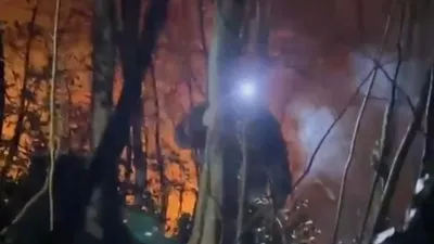 Ordu’da ormanlık alanda yangın!