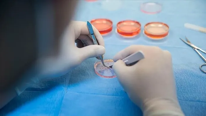 "Omikron" varyantının görüldüğü Güney Afrika'dan yeni açıklama - 1