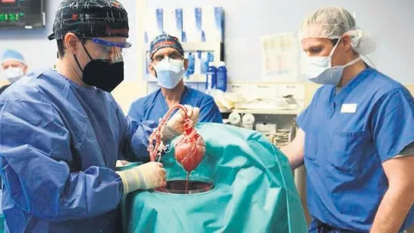 1642132373579.jpeg Herkes insana domuz kalbi naklini konuşuyor! Operasyonun esin kaynağı Türk doktor Burçin Ekser konuştu: İnsan hücresinden organ üreteceğiz - 5