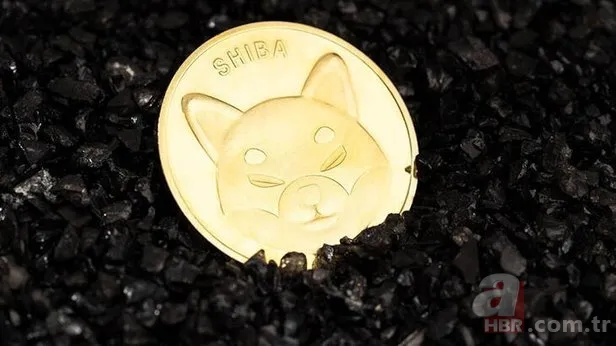 Shiba coine yeni tokenlerin etkisi... Shiba coin yakımı ne zaman? Shiba coin düşecek mi, artacak mı? 3