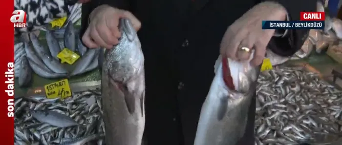 Son dakika: Sahte balığa dikkat! Balıkta benzerlik hilesi