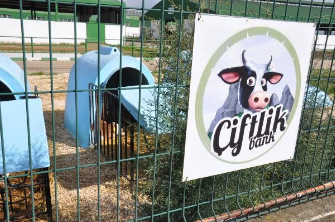 Çiftlik Bank üyelerine kötü haber! Ücretler geri ödenecek mi?