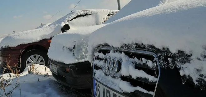 Piyasa değerleri milyonları buluyor! Çürümeye terk edildi