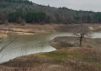 Yalova'da suda kimyasal paniği! Gözaltı sayısı arttı! Valilikten uyarı