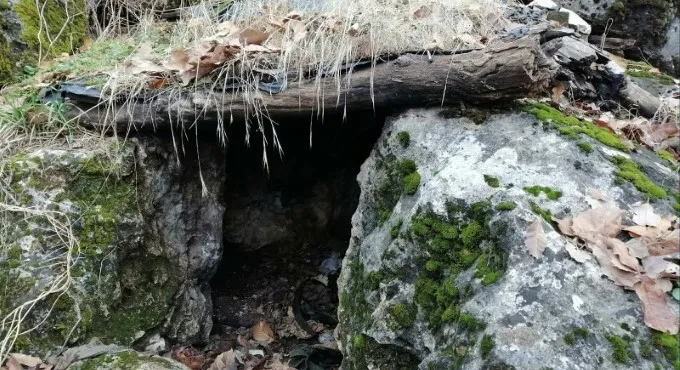 Kıran-5’de flaş baskın: 1 ton esrar yakalanarak imha edildi