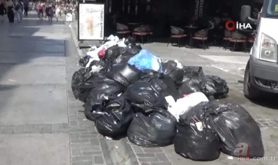 İzmir'de halkı isyan ettiren görüntüler! Karada çöp dağları, havada pis koku ve denizde balık ölümleri... 4