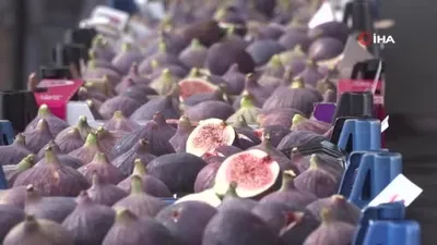 Aydın: Siyah incir Bursa’nın gözbebeği