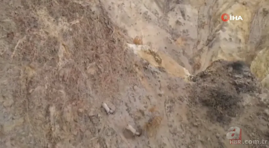 O ilimizde sürü halinde ortaya çıktılar! Karlı dağları aşarak… 19