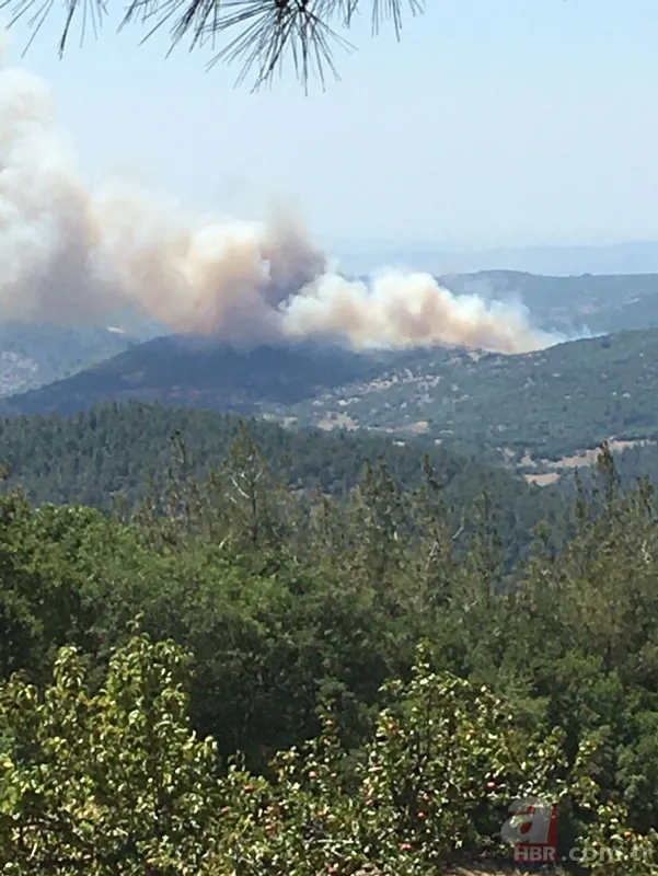 Balıkesir Kepsut'ta orman yangını! Havadan ve karadan müdahale ediliyor 5