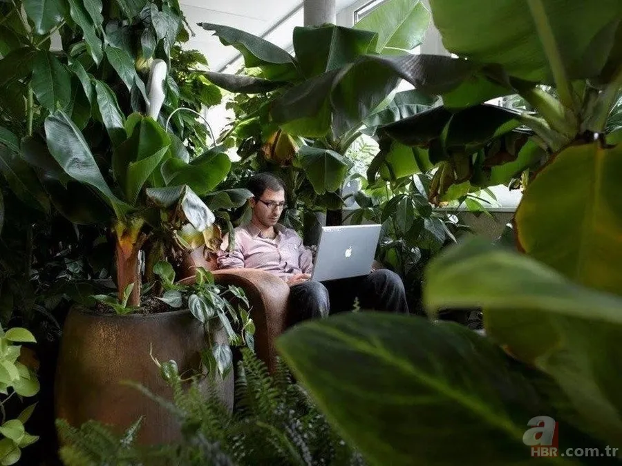 Bu meslekler paraya para demiyor! En çok kazandıran ve geleceğin meslekleri… 14