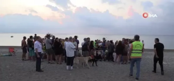 Antalya Çıralı'da caretta caretta rekoru