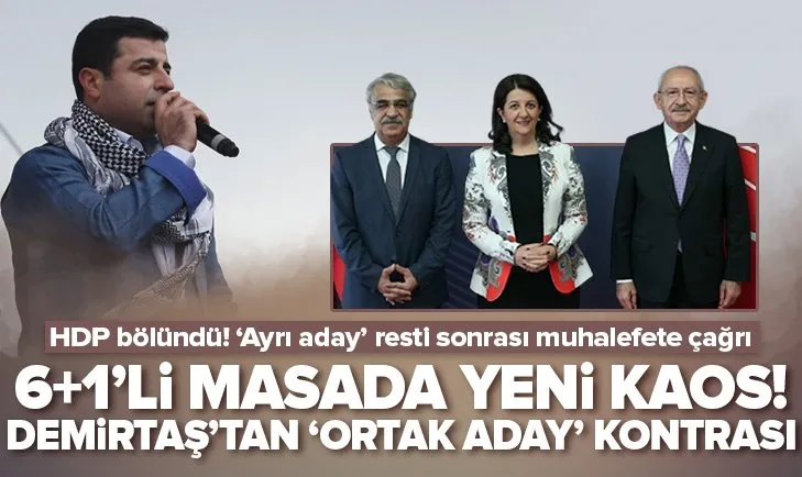 Demirtaş’tan HDP’ye ’ortak aday’ kontrası!