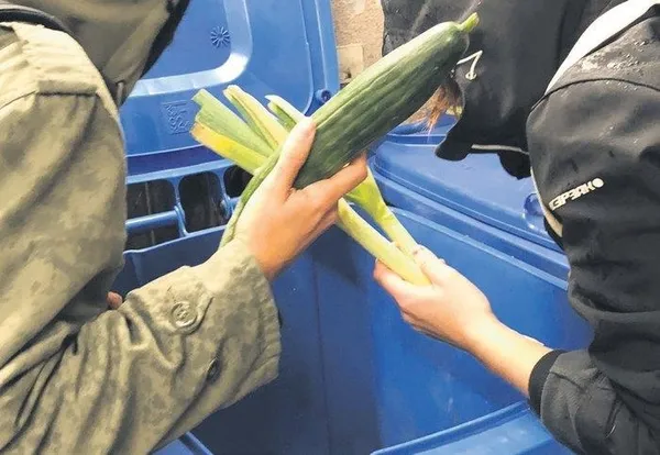 Almanya’da kriz giderek büyüyor! Çöpten yemek almaya izin çıkıyor
