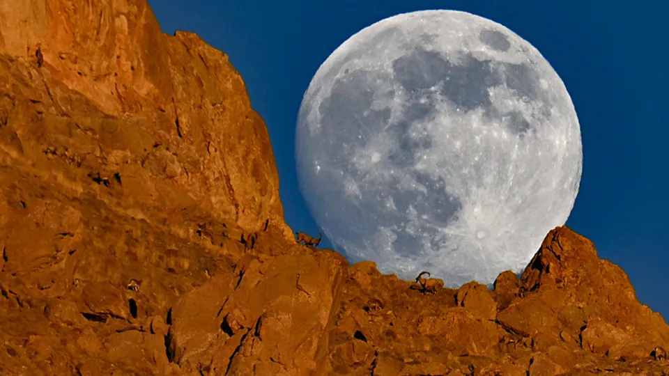 Gecenin karanlığında belirdiler! Van’da kartpostallık görüntüler