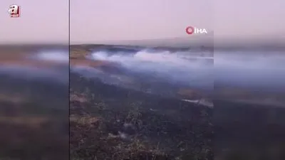 60 dönüm biçilmemiş buğday kül oldu