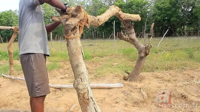 Öyle bir şey yaptı ki! Herkes hayran kaldı... 16