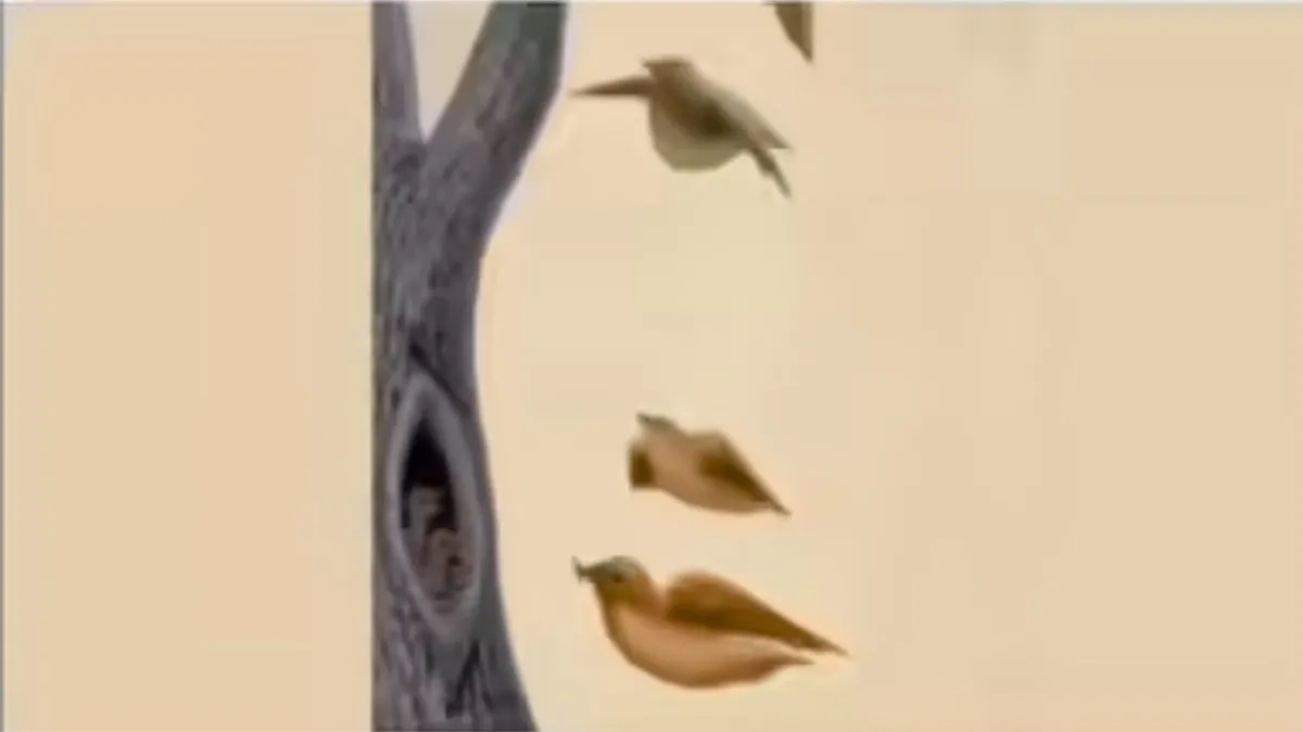 Ağaç, kuş, kadın: Gördüğünüz ilk şey sizi anlatıyor! Kişilik sırrınızı keşfedin