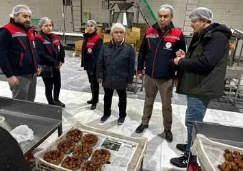 Hurma üretim tesislerine yönelik denetim