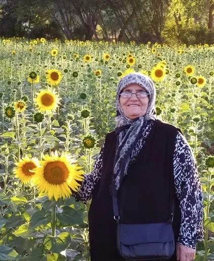 30un-uzerinde-sertifikasi-var-esme-teyze-yksye-girdi-tek-hedefi-adalet-okumak-1655651285144.jpg 30’un üzerinde sertifikası var! Esme teyze YKS’ye girdi: Tek hedefi adalet okumak - 3