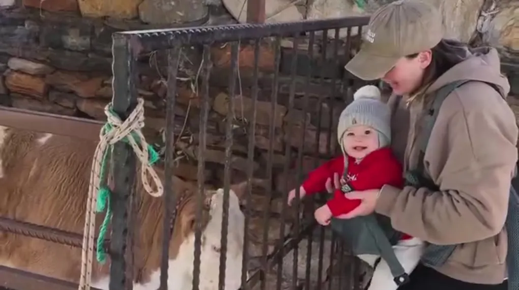 Gizem Karaca'nın minik kızı doğada keşifte