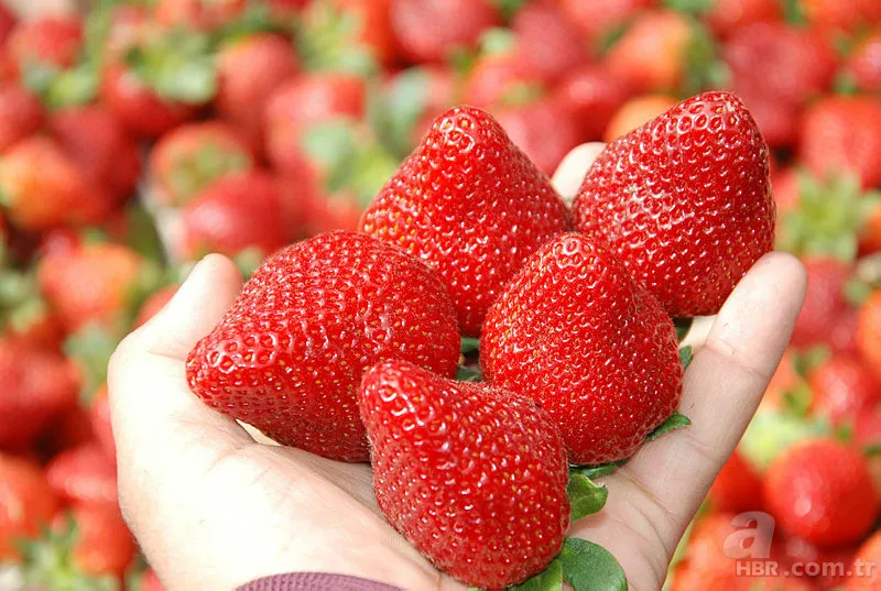 Çileği sirkeli suya batırdığınızda sonuca inanamayacaksınız! 3