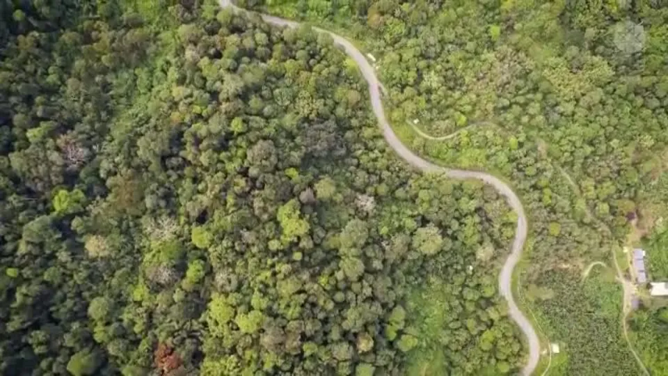 Ağaçlandırmada Avrupa 1’incisiyiz!