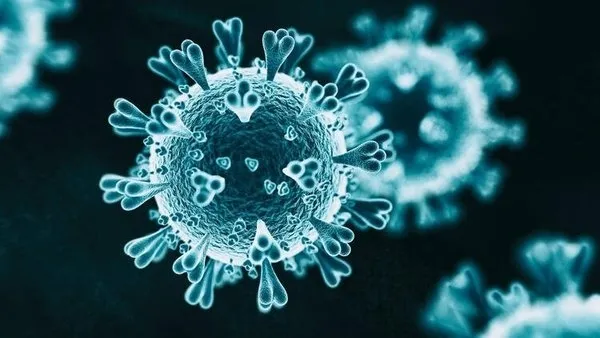 Dünyayı şoke eden araştırma! O hastalığı olanlar koronavirüsü daha ağır geçiriyor - 4