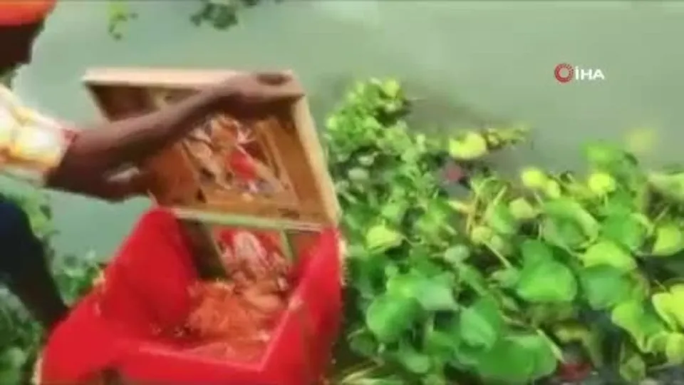 Hindistan’da dünyayı şoke eden olay! Nehirde yüzen sandıktan bebek çıktı