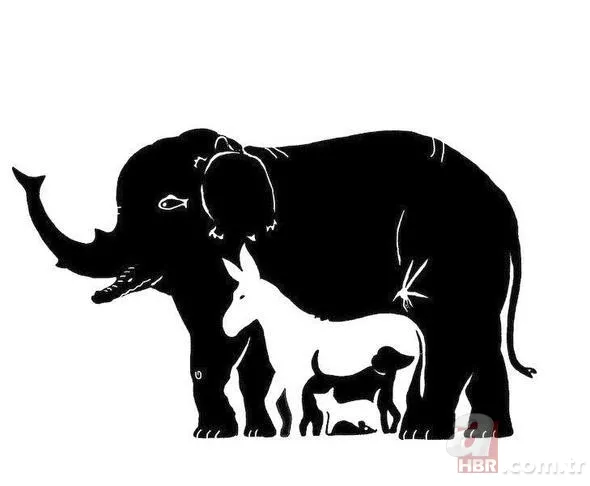 İnterneti kasıp kavuran resim: Anne kim? 12