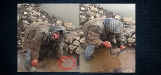 Kayalıklarda sıkışan yılanı kurtardı! Sosyal medya bu görüntüleri konuşuyor