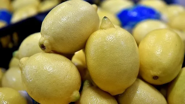 1710230495138.jpg Limonun şaşırtıcı faydası! İkiye kesip ensenize sürerseniz... - 1