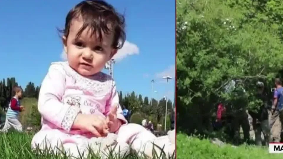 cikarmak ortacaga ait ordek ahaber ecrin bebek kotu haber digirolamoantonina com
