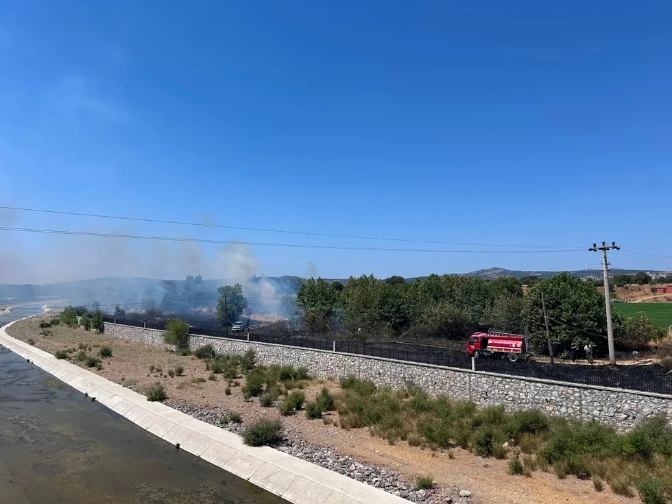 Çanakkale Ayvacık’ta otluk alan yangını söndürüldü - 3