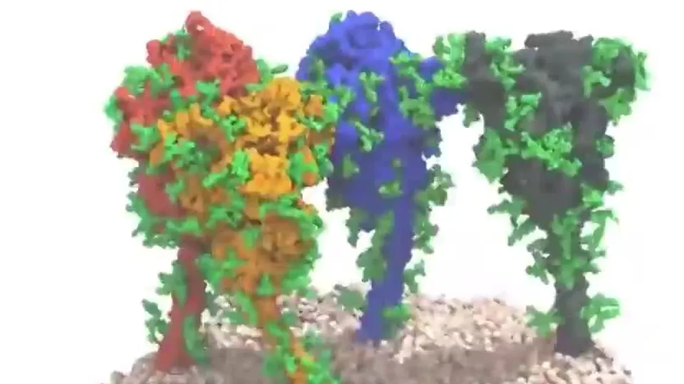 Prof. Dr. Mustafa Hasöksüz paylaştı! İşte korona virüsün en net görüntüsü...