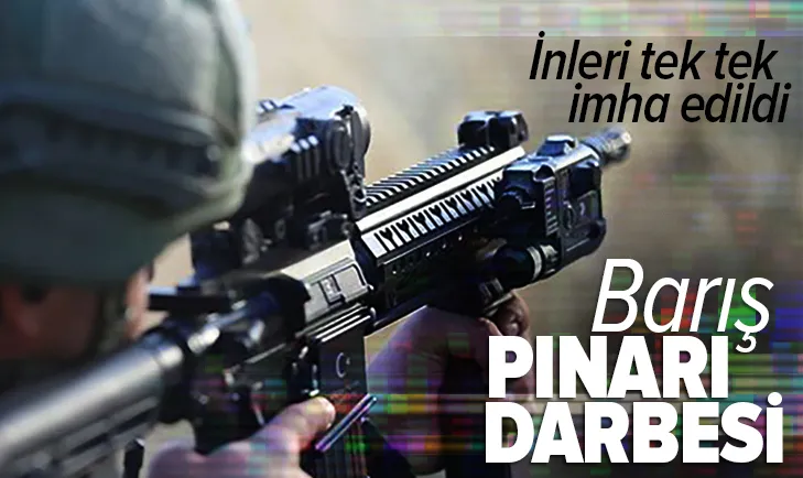 Terör örgütlerine Barış Pınarı darbesi