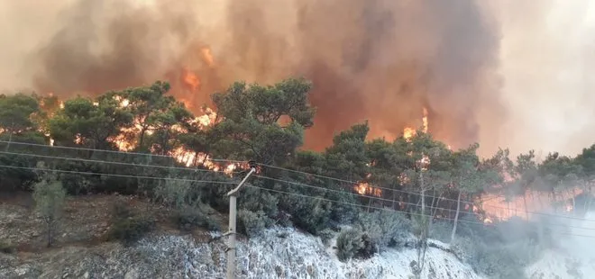 MİT ve jandarmadan kritik operasyon! Orman yangını çıkarmak için gelen PYD/PKK’lı 2 terörist yakalandı