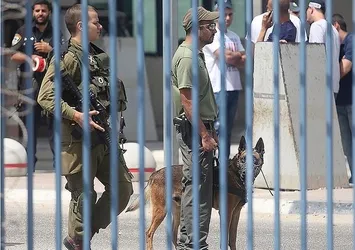 İsrail askerleri 5 Filistinliyi yaraladı