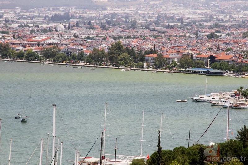 Fethiye Körfezi'nde alarm! Sarı ve yeşile büründü 4