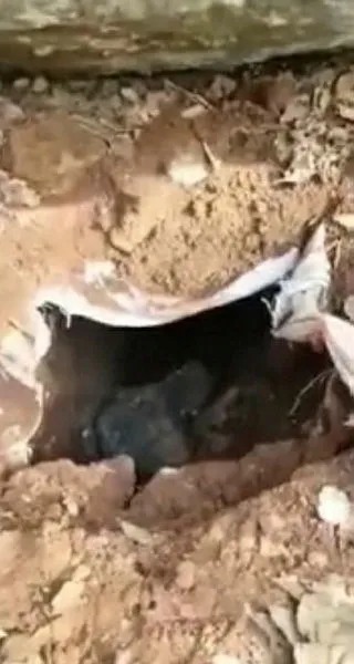 Mardin'de PKK'lı teröristlerin 4 sığınağı kullanılamaz hale getirildi - 2