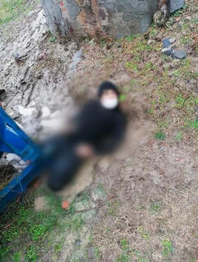 Son dakika: Dışişleri'nden 19 göçmeni öldüren Yunanistan'a sert tepki! Uluslararası topluma çağrı: Sessiz kalmayın - 2