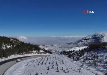 Kayseri yoğun sis altında