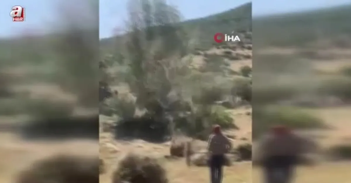 Bingöl’de hortum otları uçurdu
