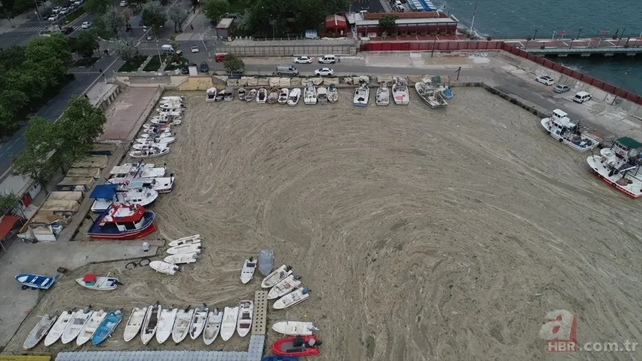 Deniz salyası ABD basınında: Marmara ölüyor! Çevre profesöründen kritik uyarı geldi 4